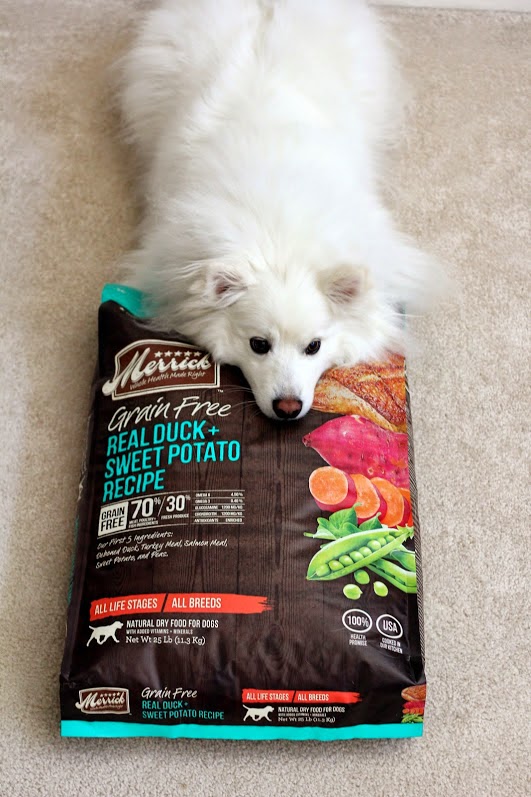 Ruckus the Eskie Merrick Dog Food Giveaway for the BestDogEver
